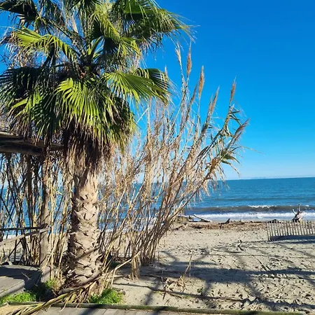 Mini 3 Etoiles * سيرفيون